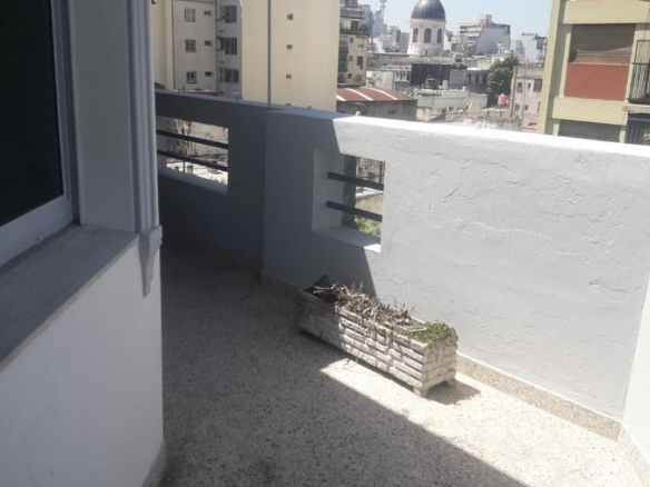 Departamento – Flores
